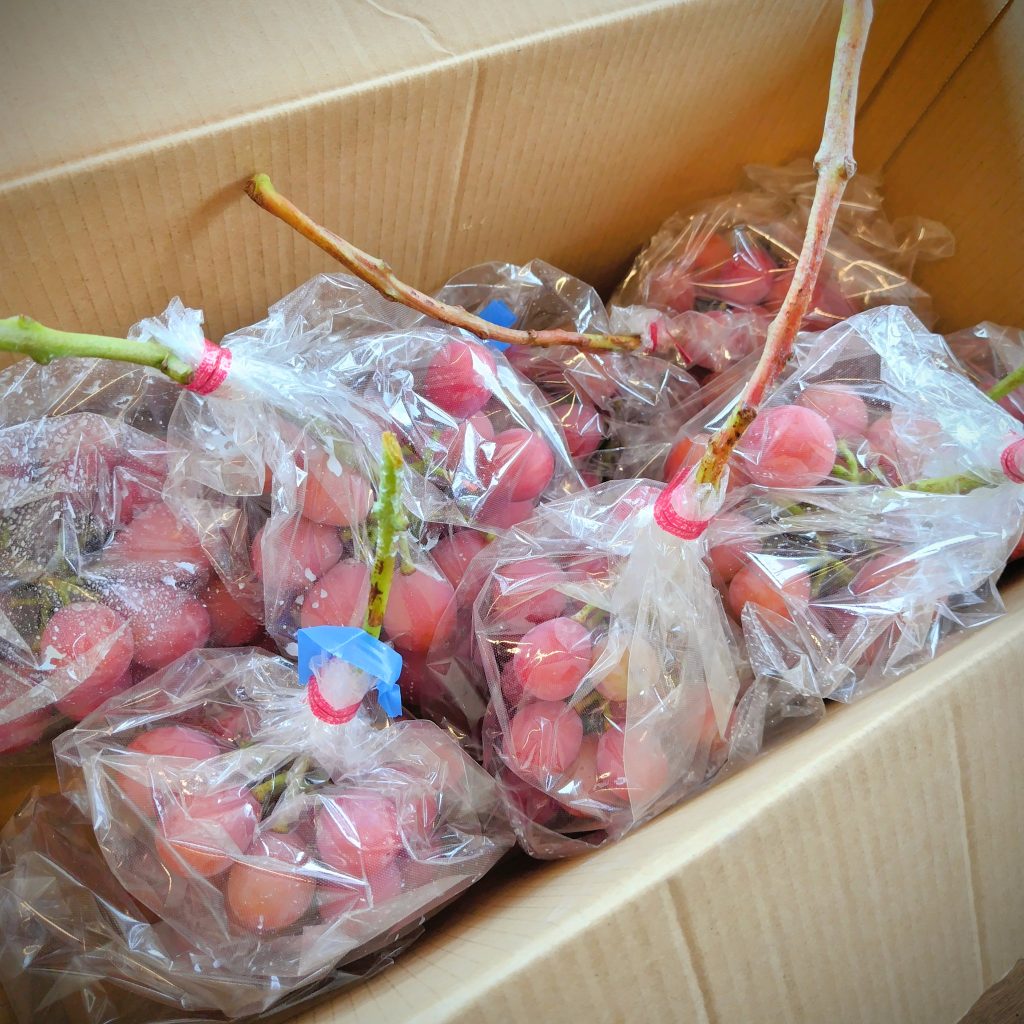 玄関段ボール中２