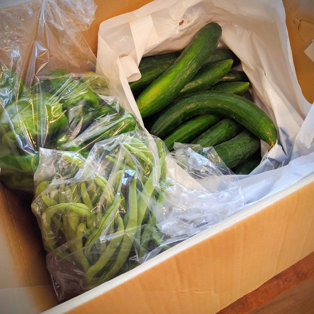 玄関段ボール中身１